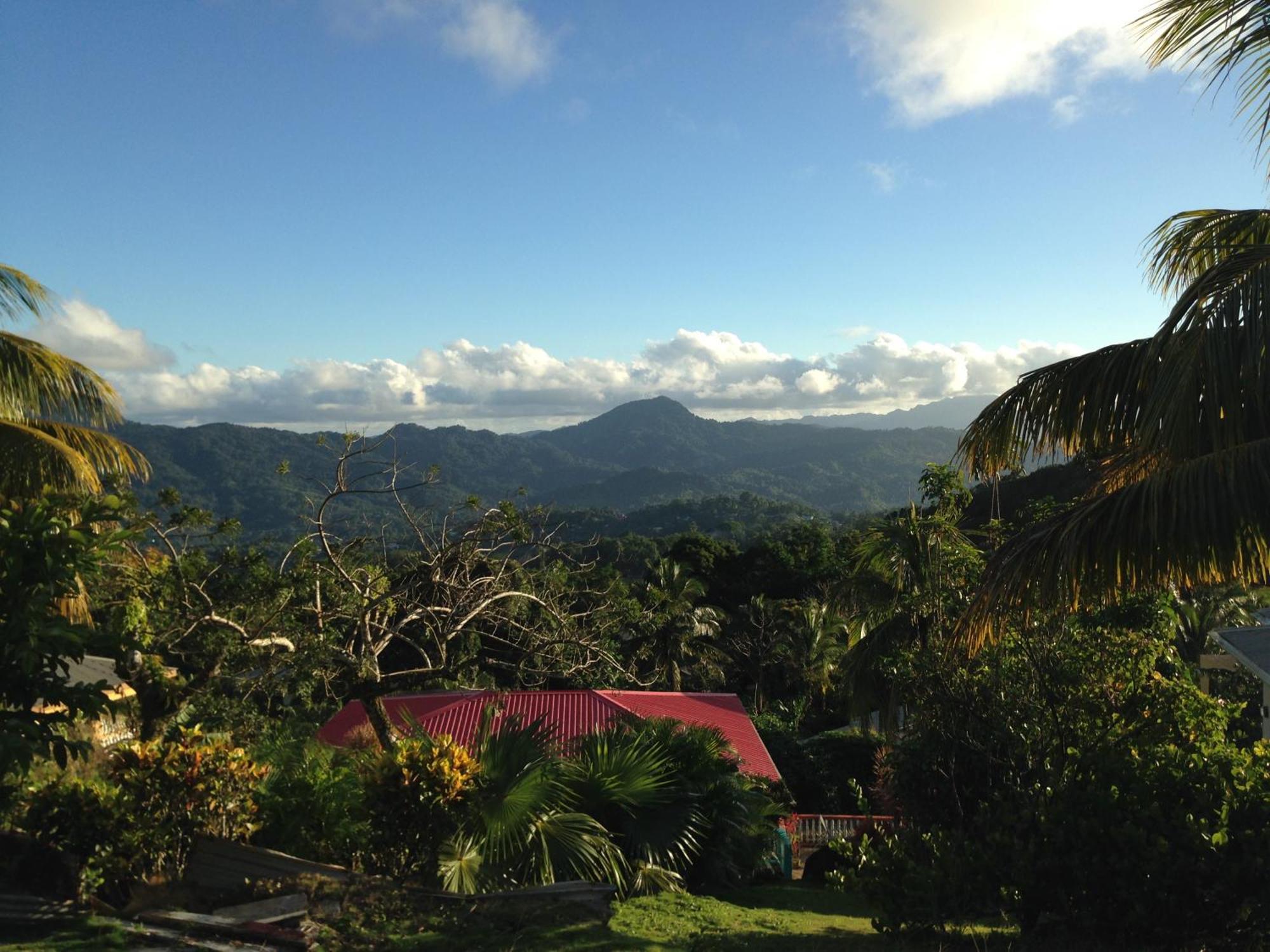 Italian Guesthouse Gros Islet Eksteriør billede